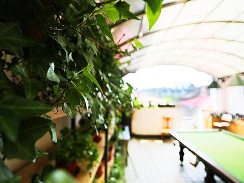 Nanjing Sunflower International Youth Hostel Buitenkant foto